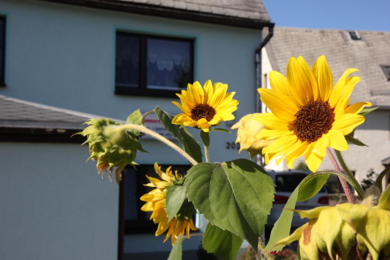Ferienwohnung Lippmann Grosshartmannsdorf Exterior foto